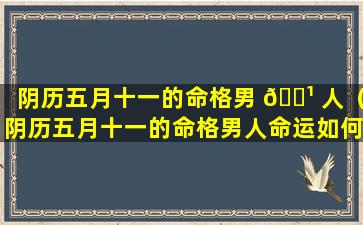 阴历五月十一的命格男 🌹 人（阴历五月十一的命格男人命运如何）